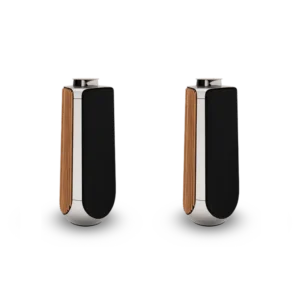 BEOLAB 50